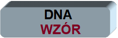 DNA WZR